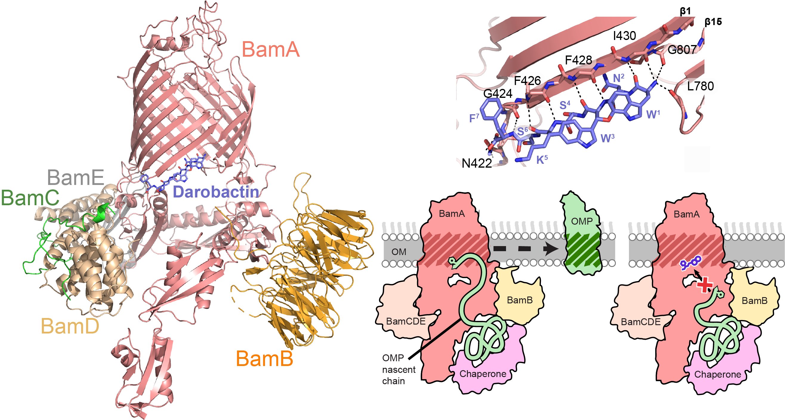 The image has been compiled from the original paper