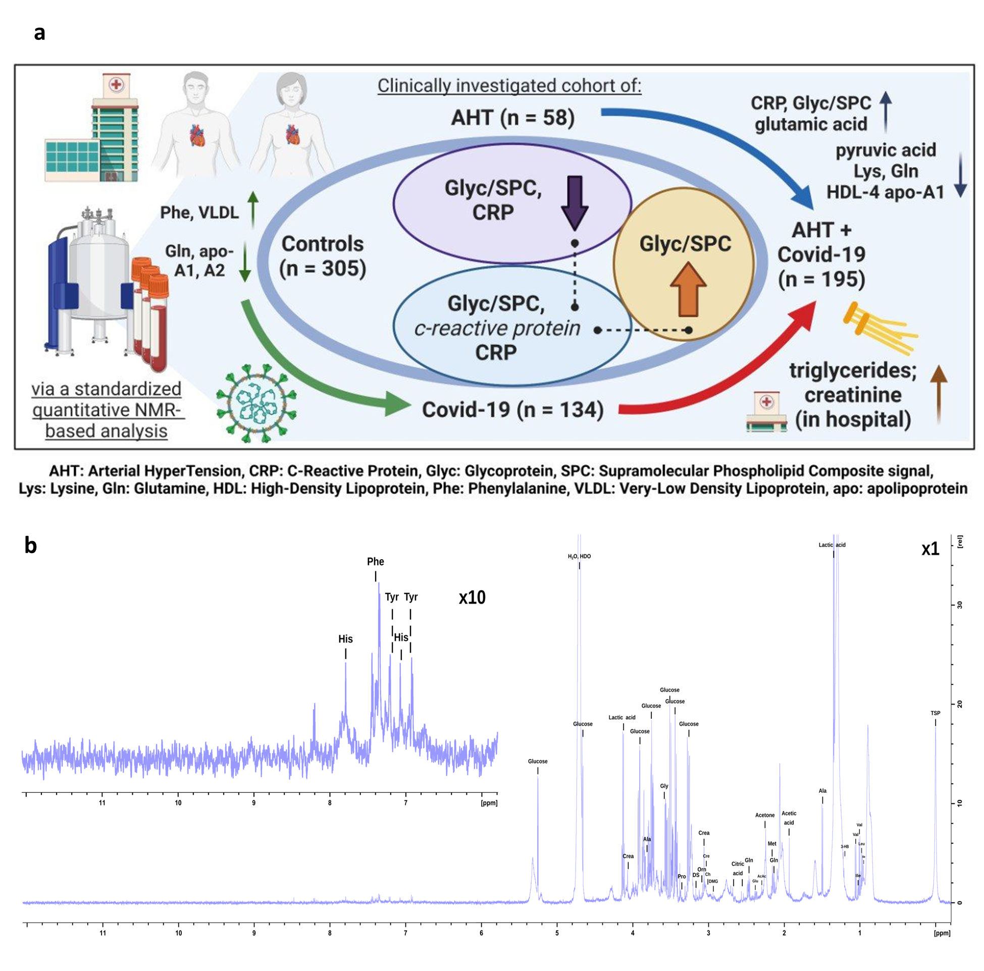 a This figure is intended to summarize the work process and results of this study. The three cohorts are shown with numbers of participants, as well as the subgroup AHT + COVID-19 with 195 patients. As typical striking metabolic parameters in COVID-19 disease, an increase of CRP, Glyc/SPC and gluatmic acid, as well as a decrease of pyruvic acid, lysine, glutamine, and HDL-4 fractions like HDL-4 apolipoprotein A1 are noted. b illustrates a CPMG spectrum of quantified metabolites. The aromatic region (8.0 to 6.0 ppm) is zoomed by factor 10. HDO = semi heavy water, Crea = creatinine, DS = dimethylsulfone, Cre = creatine, Ch = choline, DMG = N, N-dimethylglycine, AcAc = acetoacetic acid, 3-HB = 3-hydroxybutyric acid, Val = valine, Ile = isoleucine, Leu = leucine, TSP = 3-(trimethylsilyl) propionic-2,2,3,3-d4 acid.