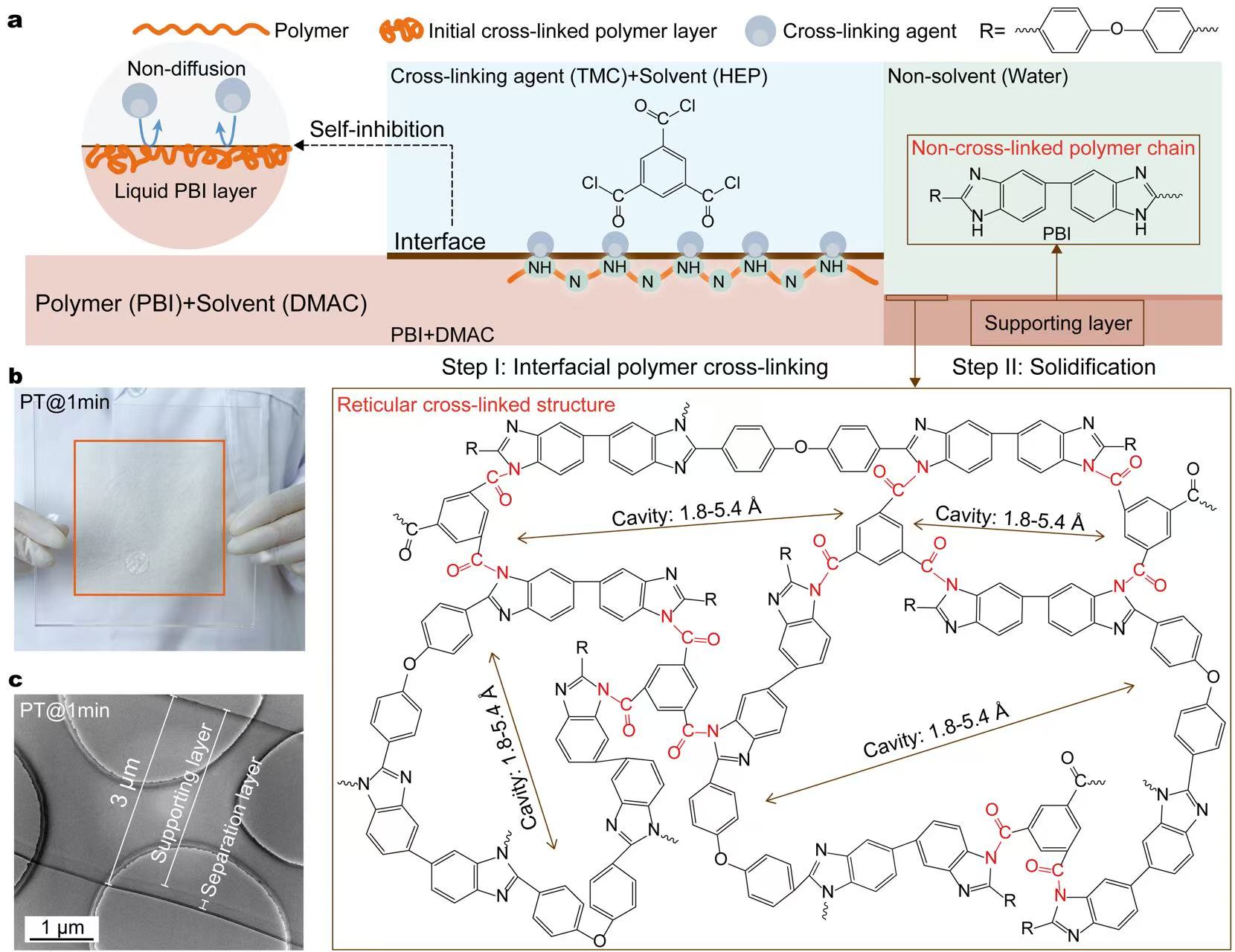 Fig. 1. Fabrication route and structure of the 3-μm-thick polymeric membranes.