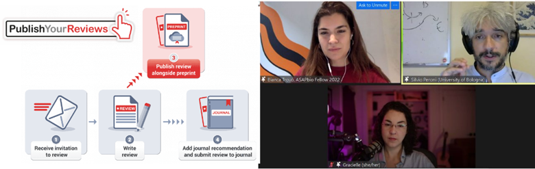 Diagram representation and screengrab of an online meeting about the ASAPbio Community Call: ‘Publish Your Reviews - the researcher experience’ 
