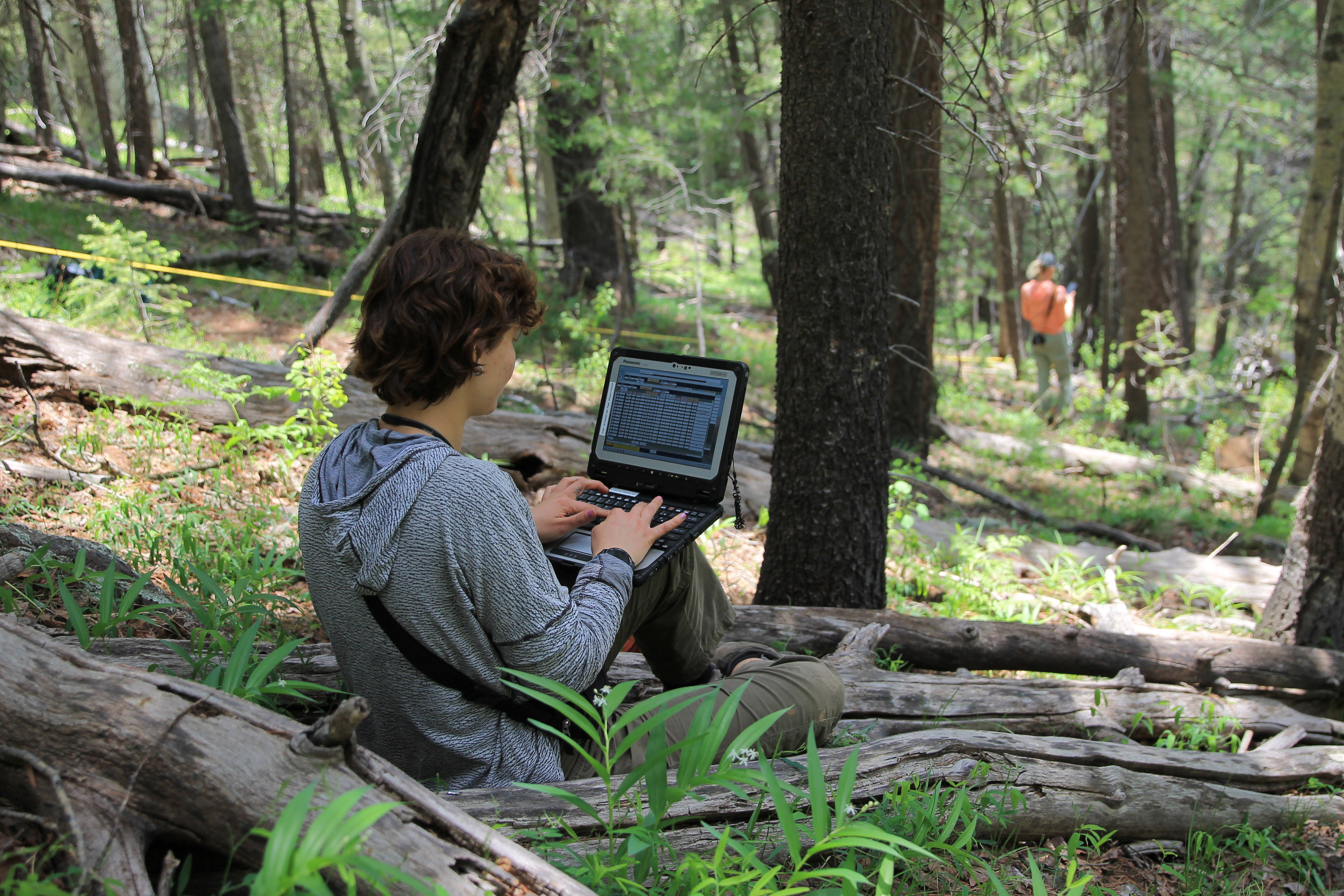 A researcher, sitting in a forest, uses a laptop to record data