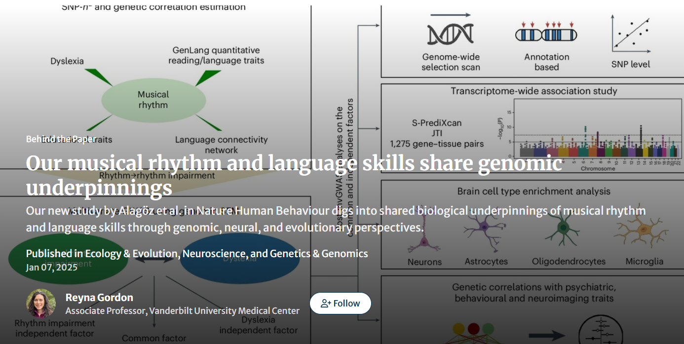 A detailed chart exploring the genetic links between musical rhythm and language skills, accompanying an article on their biological foundations.