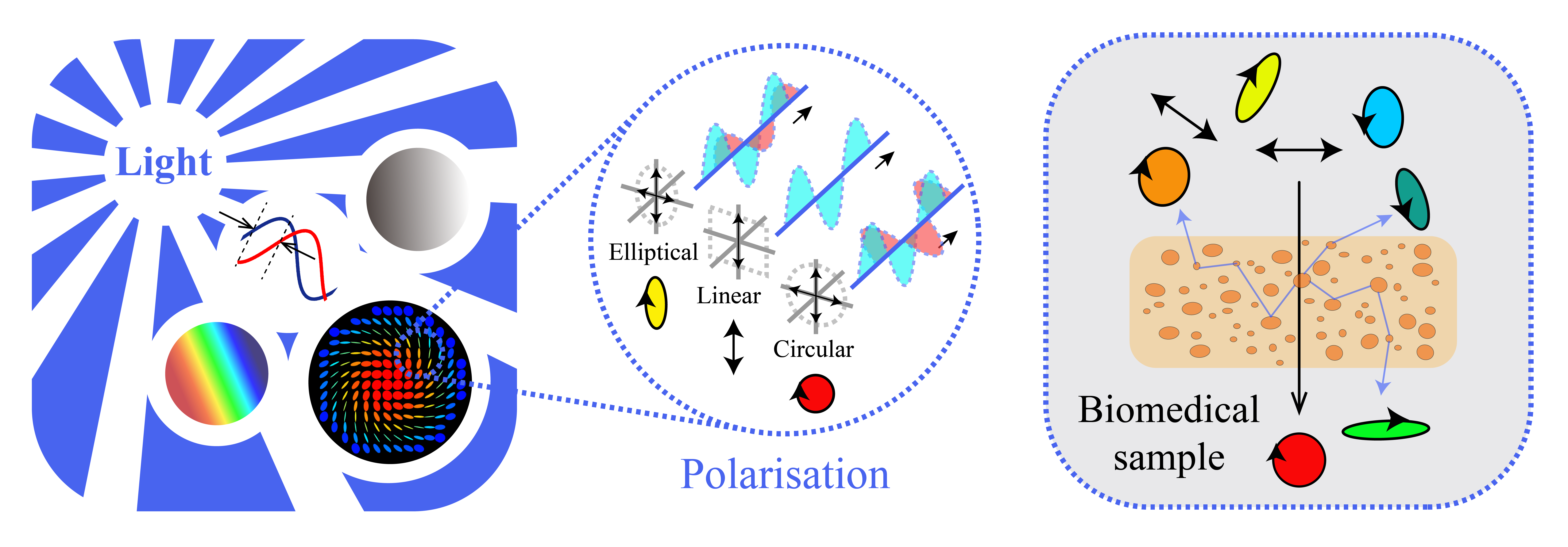 Figure 1 | Polarisation property of the light, as well as its interaction with biomedical samples.