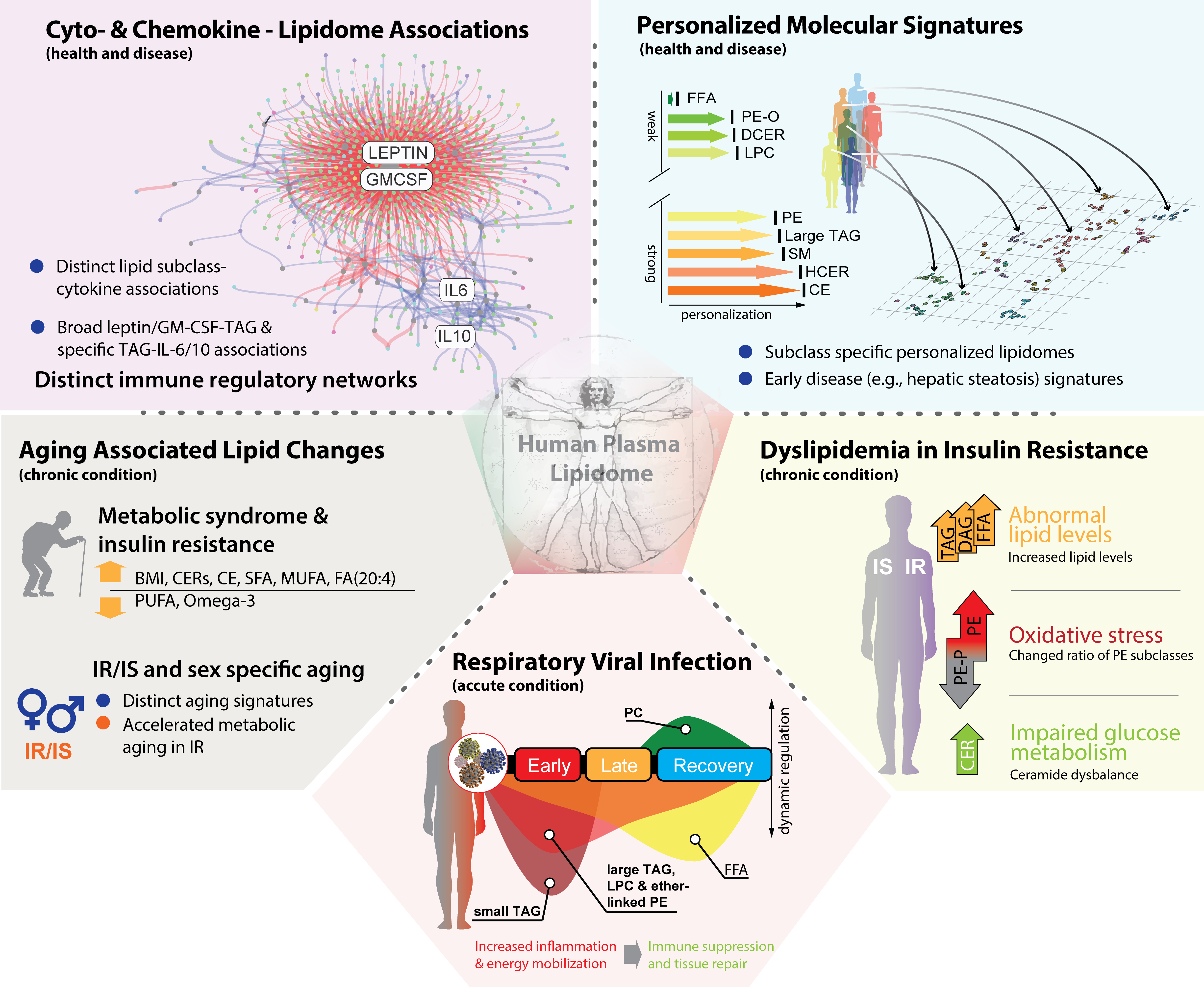 The human lipidome in health and disease
