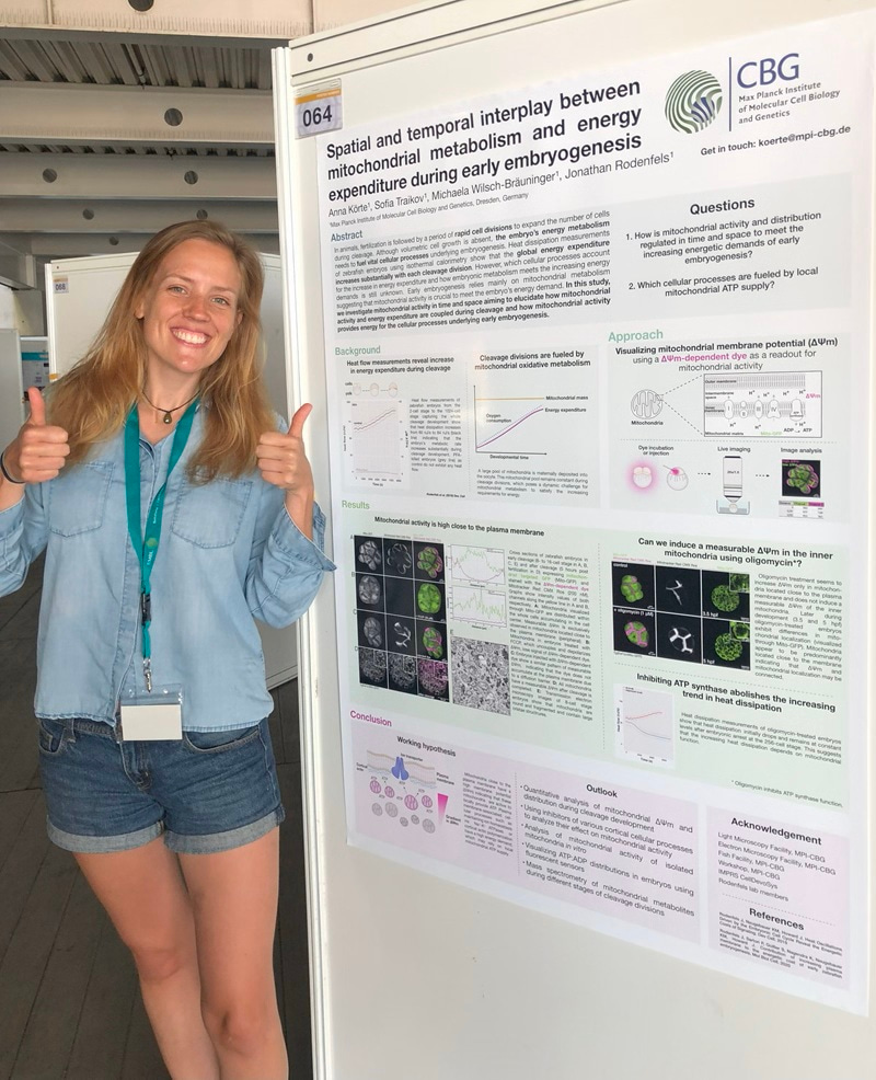 Anna Körte standing alongside her poster, doing thumbs up and smiling at the camera.