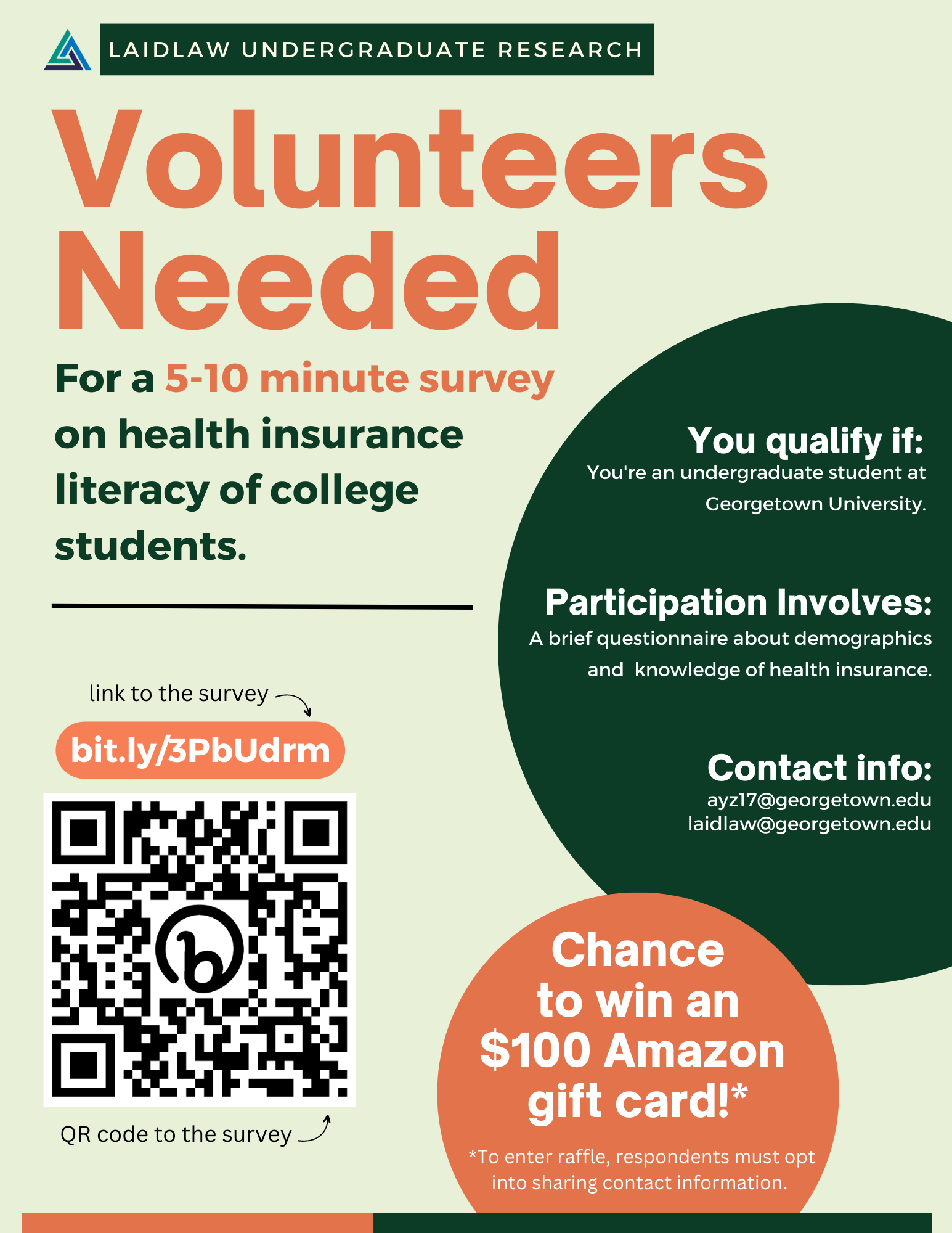 My Promotional Flyer