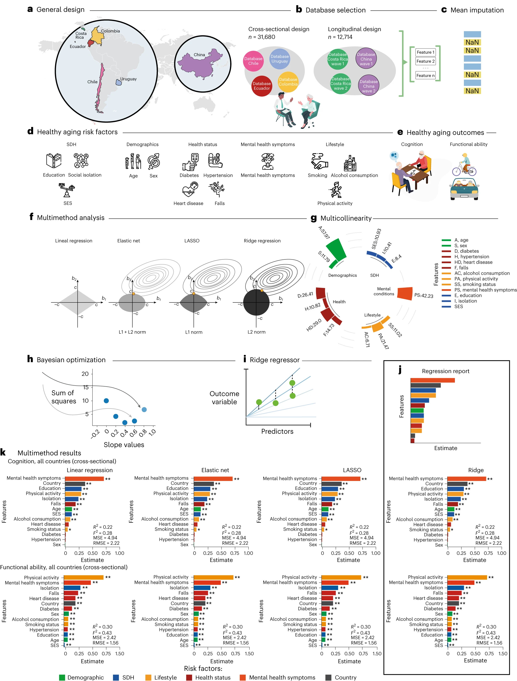 a, General design of the study describing the countries included in the cross-sectional analyses (Chile, Uruguay, Colombia and Ecuador) and in the longitudinal analyses (Costa Rica and China). b, Database selection in the cross-sectional (n = 31,680 participants) and longitudinal (n = 9,258 participants) studies (total n = 40,938 participants). c, Imputation procedures. d, Risk factors, including demographics, SDH, health status (cardiometabolic factors and falls), mental health symptoms and lifestyle risk factors. e, Outcomes: cognition and functional ability. f, Multimethod approach, including different regressions (linear regression, elastic net, LASSO, ridge regression). g, Multicollinearity between risk factors that justified the selection of ridge regression as the adequate model. h, Bayesian optimization to find the best hyperparameters for ridge regression. i, Regression step used with the ridge regression. j, Regression report. k, The multimethod results revealed high consistency across methods using goodness-of-fit metrics (R2, Cohen’s F2, MSE and RMSE) and a high coherence in the weight and ranking of risk factors of healthy aging (β estimates). In k, the upper panel presents the multimethod findings related to cognitive performance. The lower panel displays the functional ability data across all countries in Latin America. Risk factors: demographics, SDH, health, lifestyle, mental health symptoms and country.