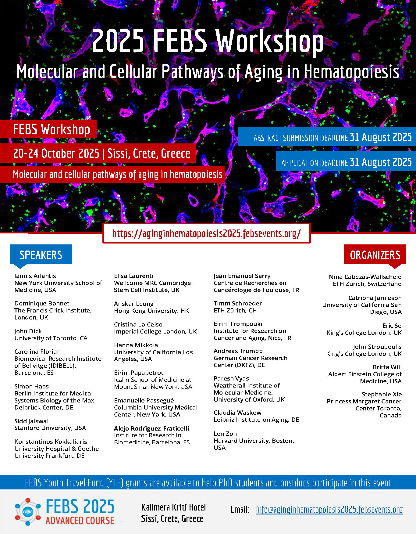 Poster for the FEBS Workshop on the Molecular and Cellular Pathways of Aging in Hematopoiesis