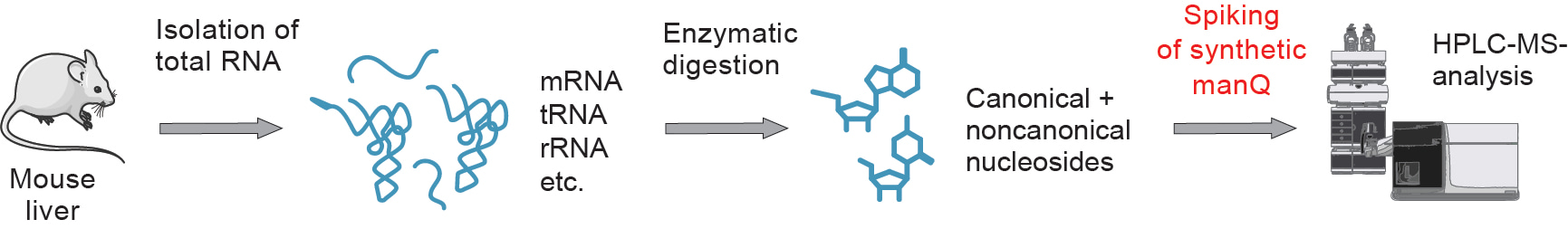 Workflow for LC-MS Co-Injection