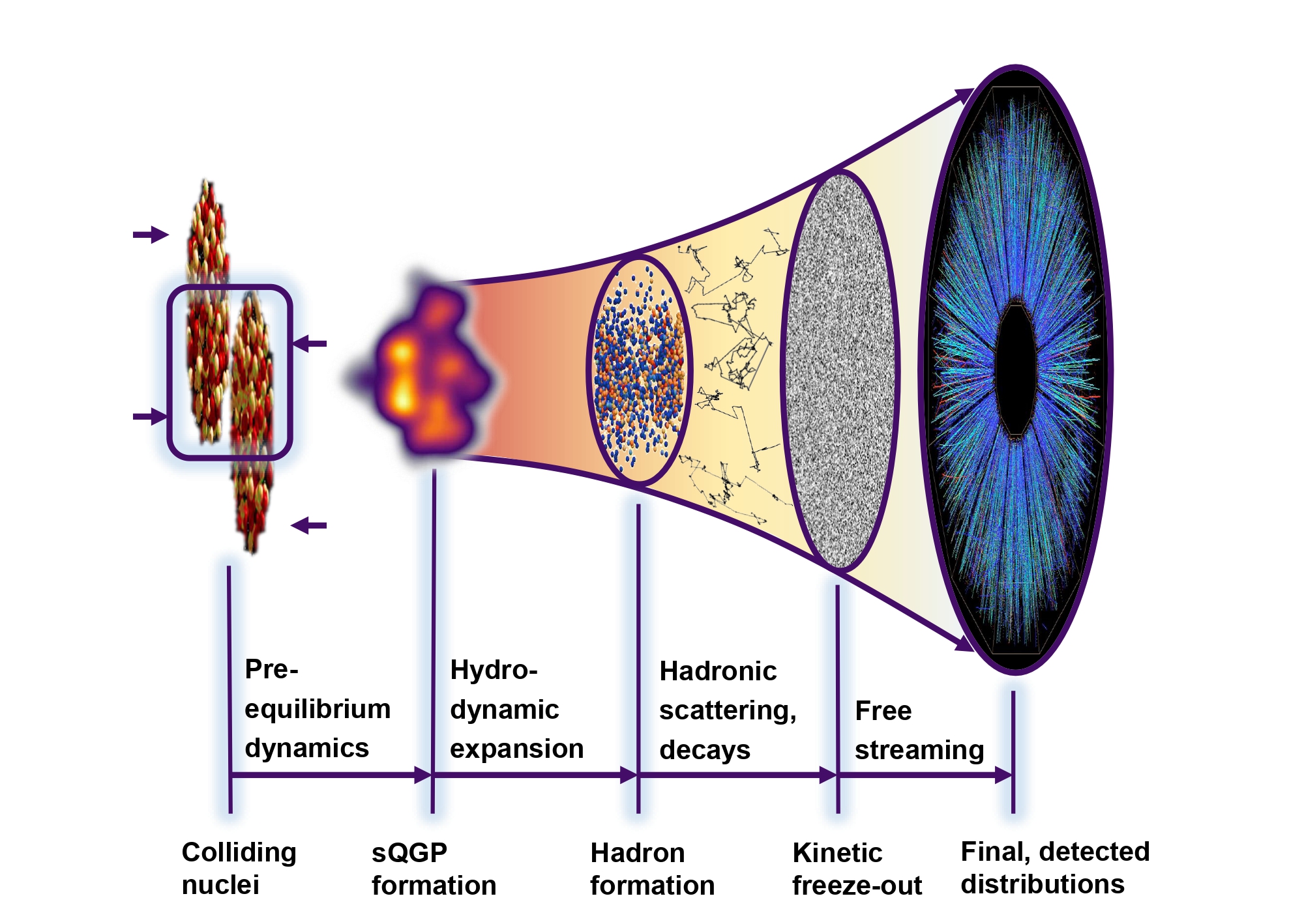 Time evolution of heavy-ion collisions with Lévy walk Time evolution of heavy-ion collisions with Lévy walk