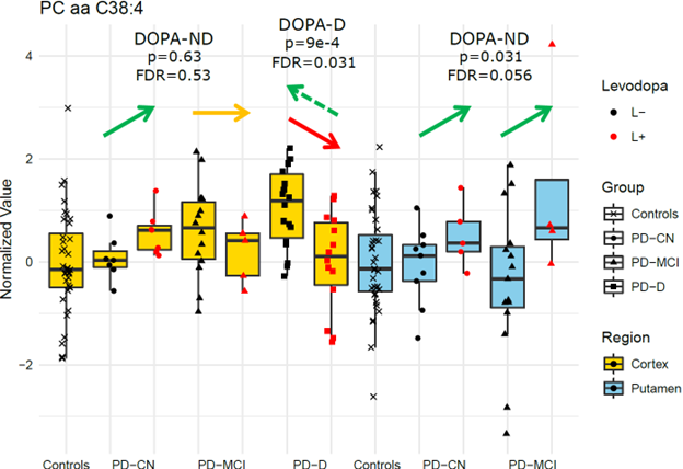Fig. x3 Example of phase delay in levodopa effect in PD with dementia