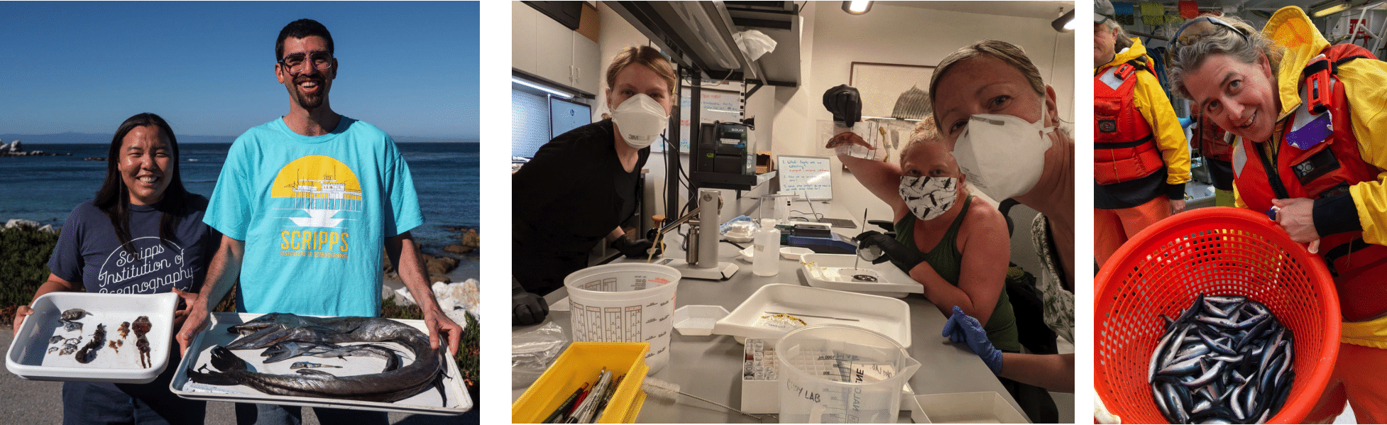 Collaborators involved with the Pelagic Species Trait Database by Gleiber et al. (2024) and Dr. Stephanie Green's lab at the University of Alberta