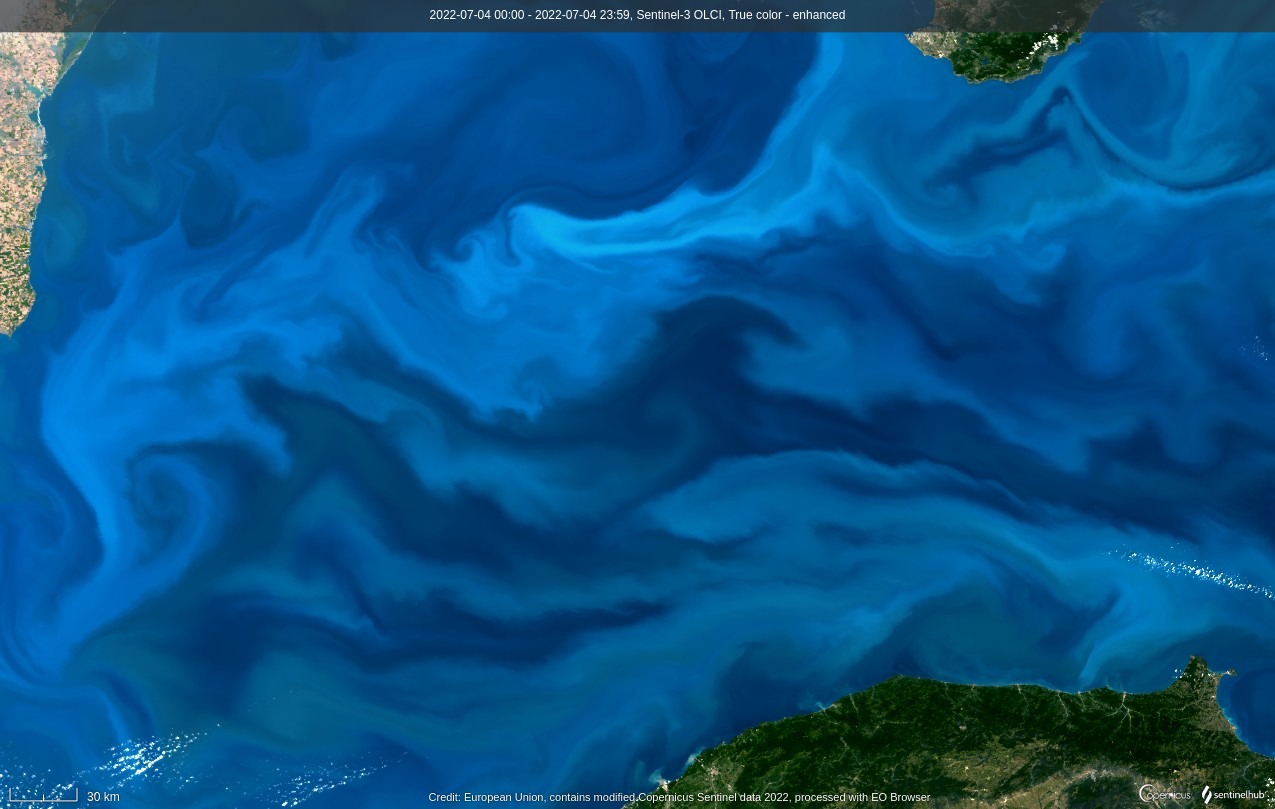 Satellite view of phytoplankton at the surface of the ocean, showing the swirling due to turbulent motions 