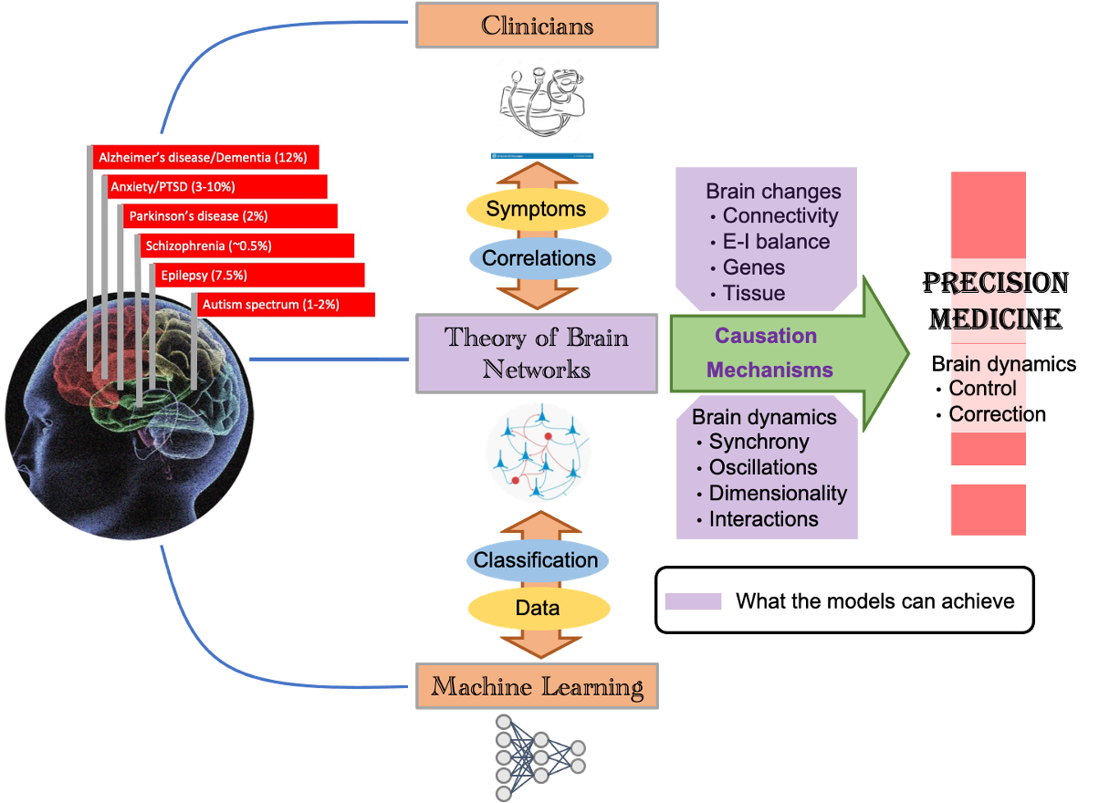Figure 1: Schematic putting forward the role of modelling in the actual brain disease analysis framework when considering the path towards their better treatment