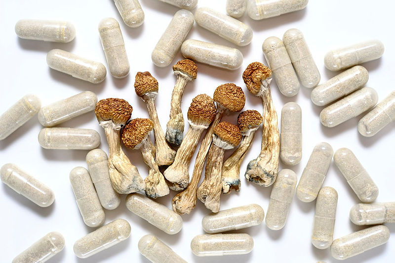 Dry psilocybin mushrooms and pills on white background