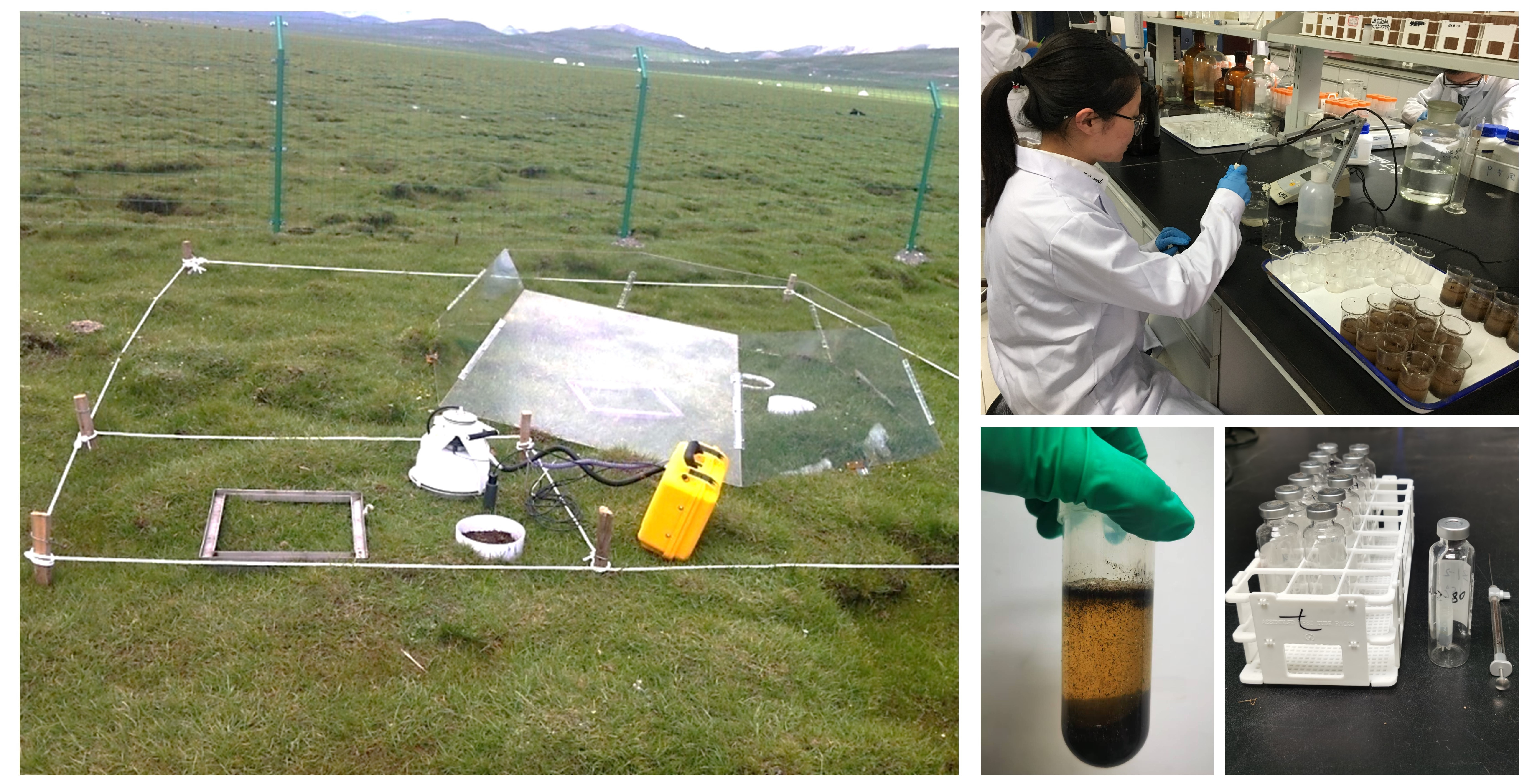 In situ measurement and laboratory experiments (credit: Fei Li and Shuqi Qin