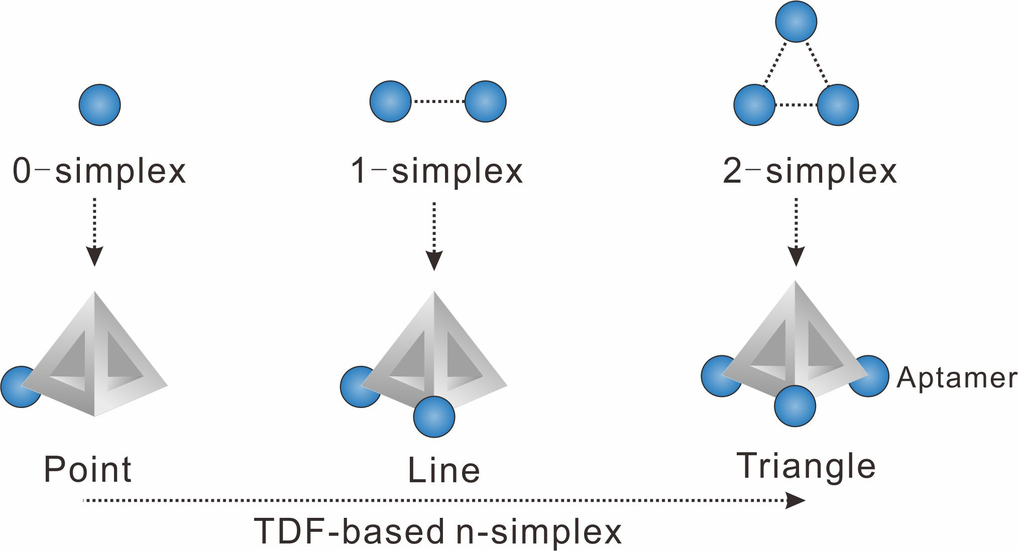 Figure 1. Representations of algebraic topology (0-simplex (a point), 1-simplex (a segment between two points), and 2-simplex (a triangle)).