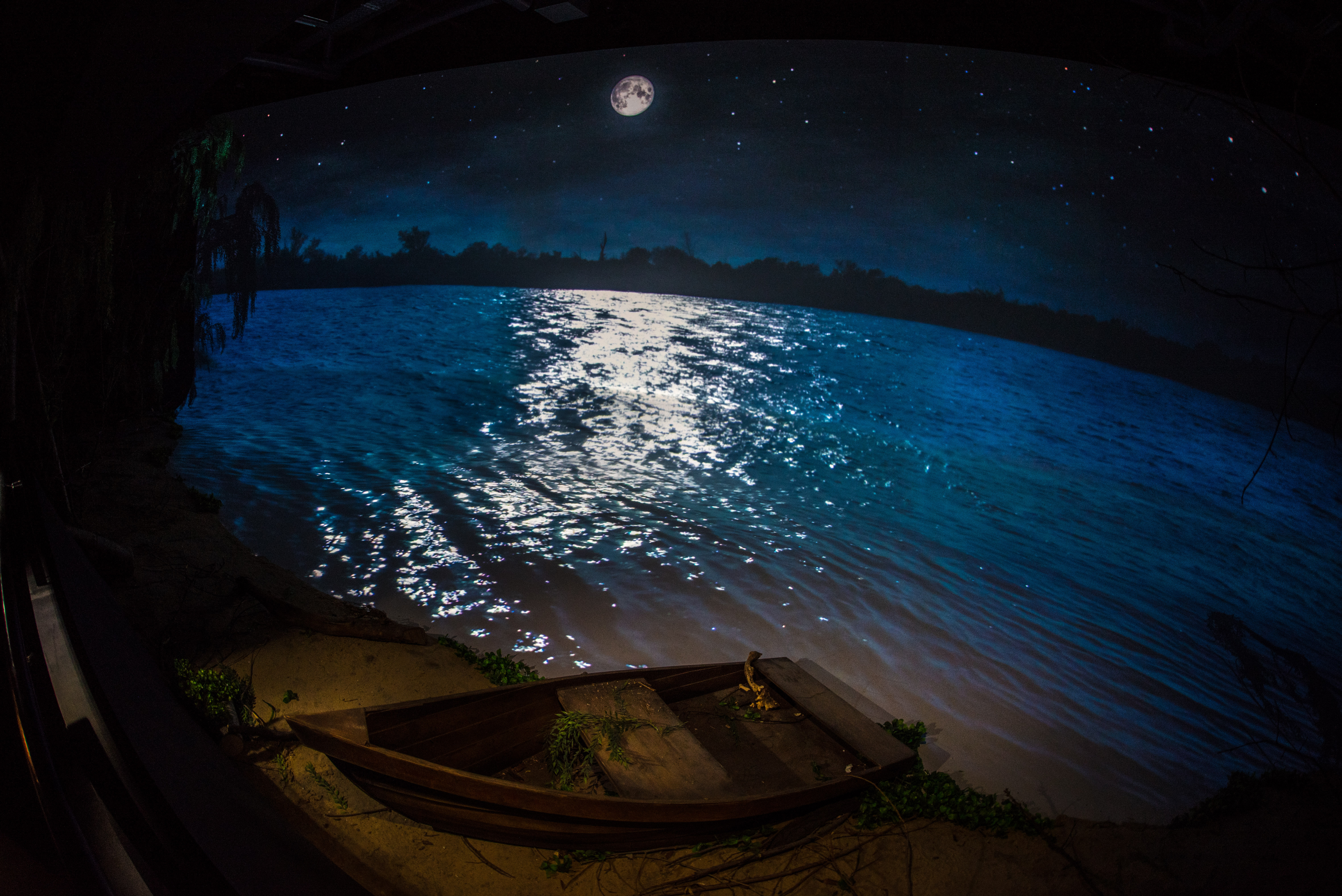 Museo del deporte Museo del deporte