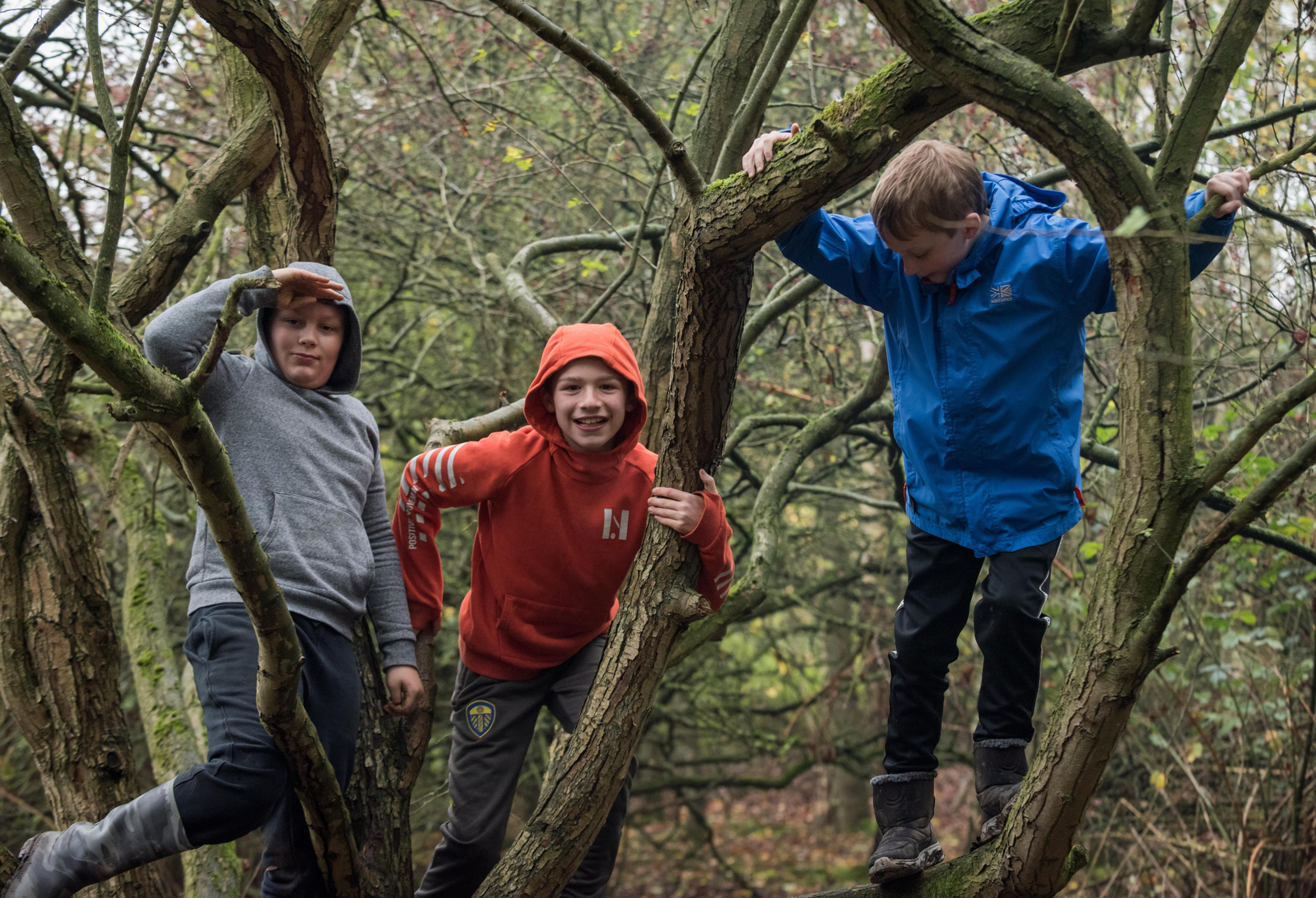 Co-design workshop participants Children playing in trees