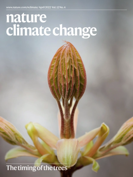 April cover of Nature Climate Change with an opening tree bud photograph. Text reads 'The Timing of the Trees'