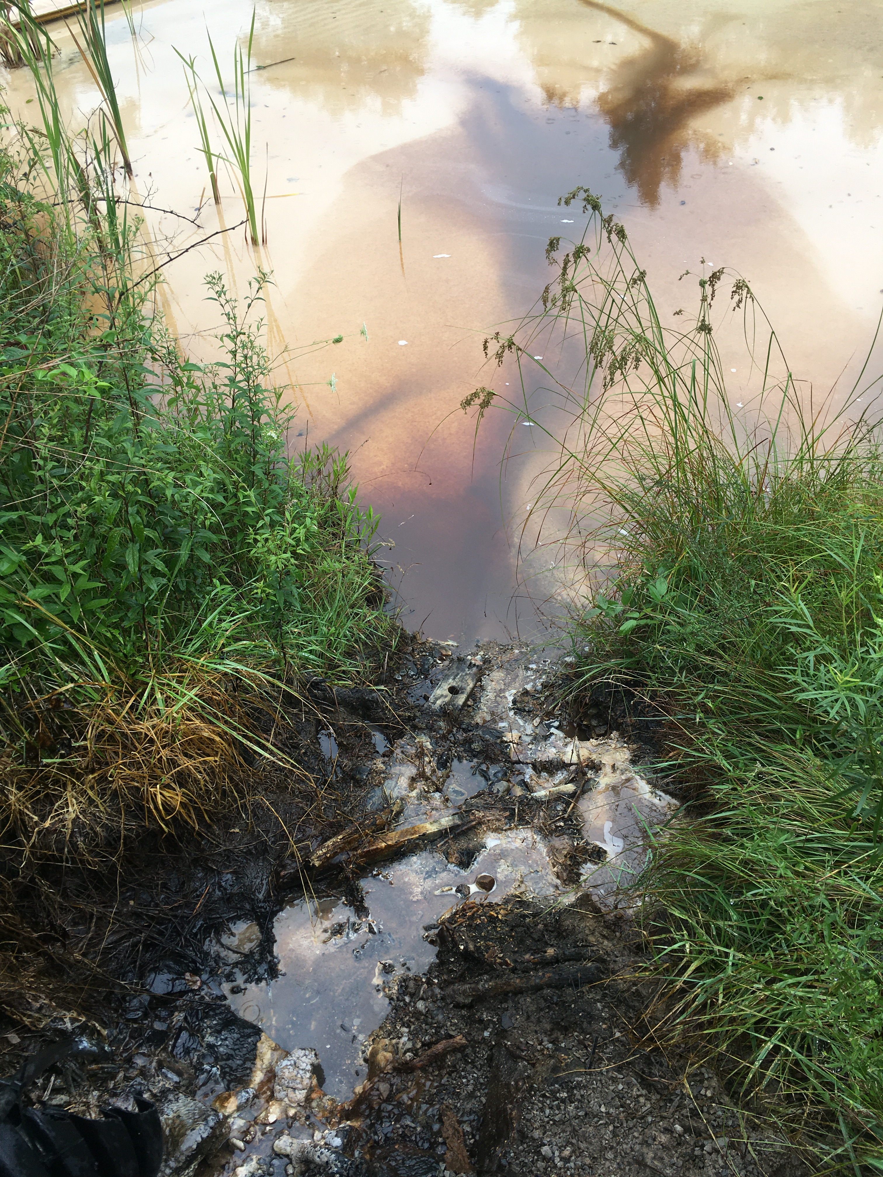 Mine drainage seeping into a treatment pond Photo by Jeremy Weber
