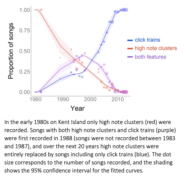 Trajectory of song feature replacement