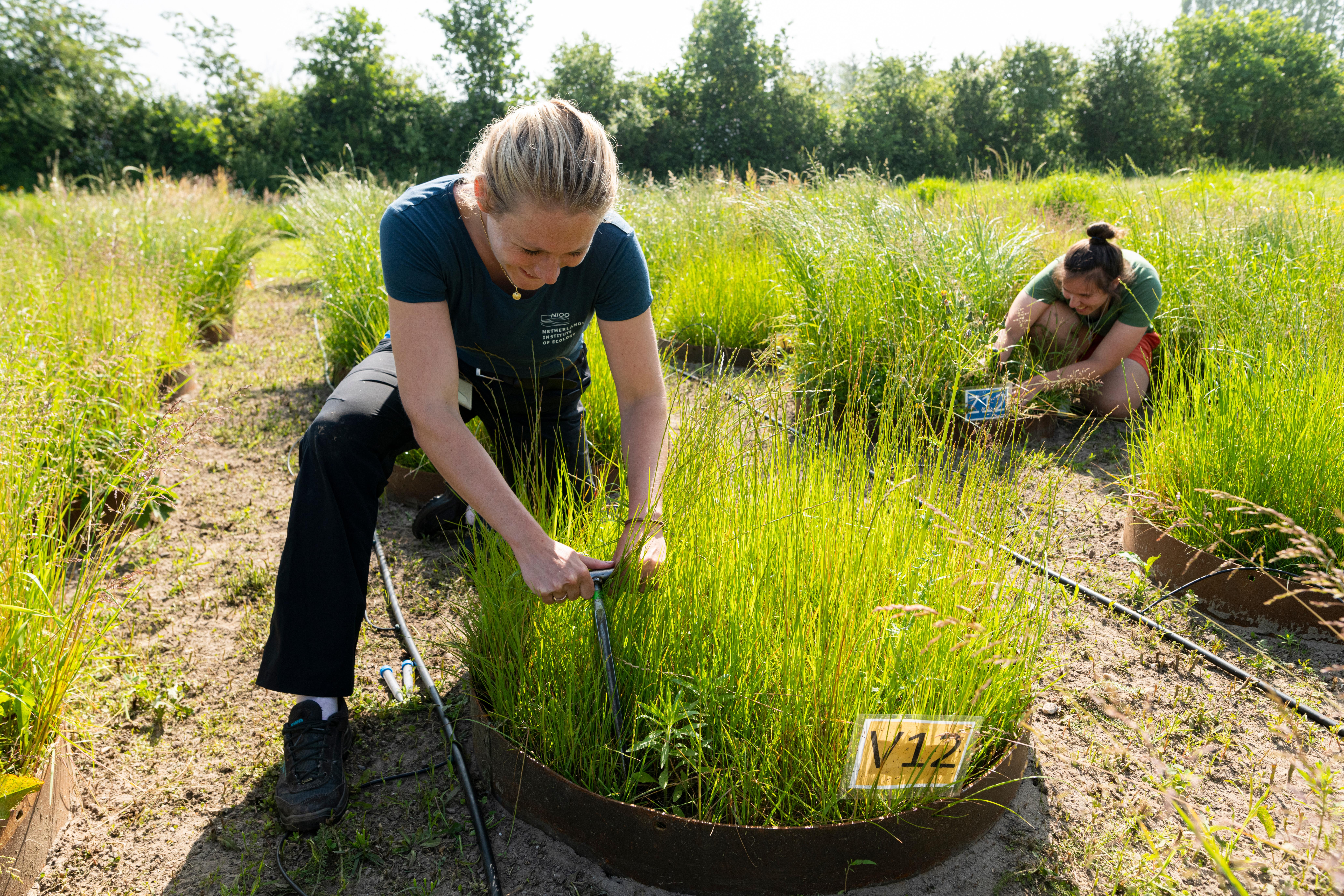 Two researchers at work at the Soil-tron