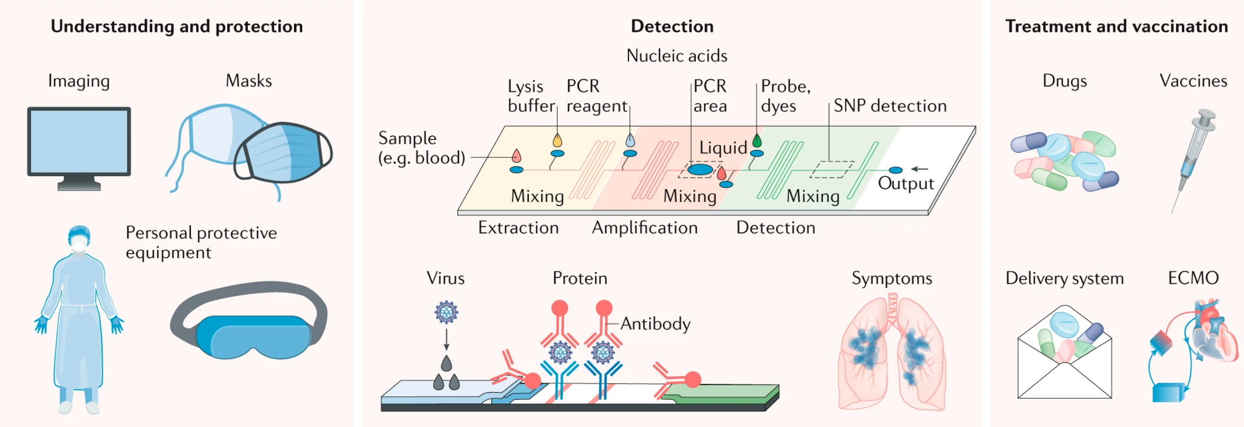 Fig. 1: SARS-CoV-2 and materials science.