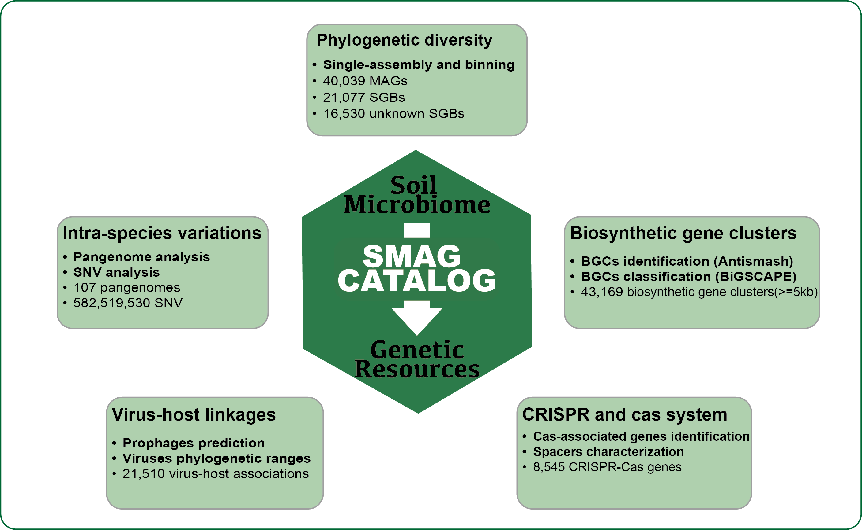 The microbial diversity and genetic resources mine from SMAG catalogue