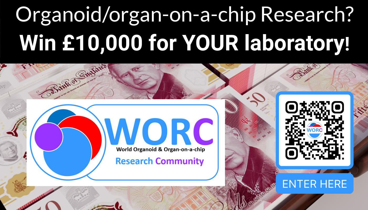 Win £10,000 for your organoid and organ-on-a-chip research!