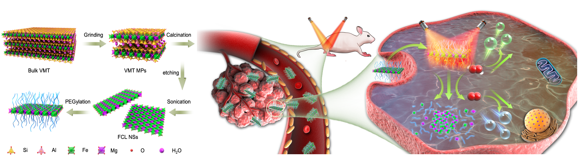 Nature-Derived 2-Dimensional Materials for Cancer Therapy