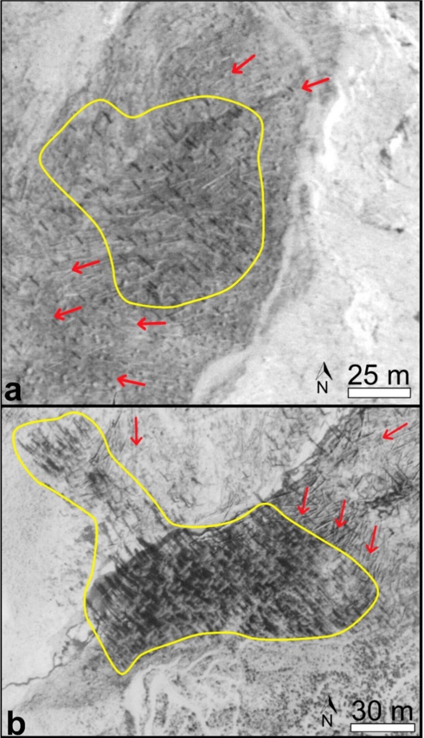 Aerial photography of damaged trees