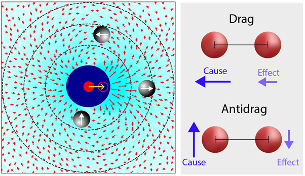 Figure 1: Hydrodynamics in confined 2D (left), experimentally determined map showing average response (red arrows) of particles at all (r,θ) due to the motion of a particle from red solid to hollow circle. Schematic of drag and antidrag motion of particles (right). In the drag scenario, both arrows signifying particle displacement point in the same direction, illustrating the synchrony in particle movement. In contrast, the antidrag demonstrates opposing movements, where the particles diverge from each other.