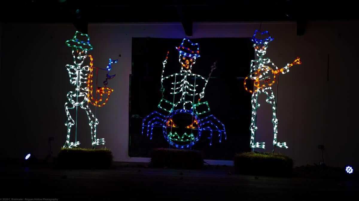 Skeleton light show