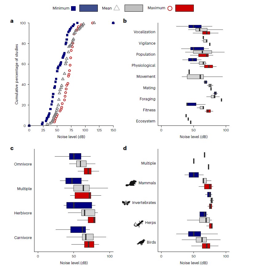 Scope of the effects of noise on urban wildlife.