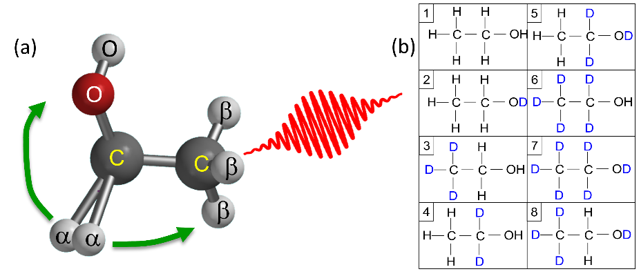 Ethanol cartoons of (a) structure, site definitions, and roaming paths, (b) the different isotopologues used in the experiment.