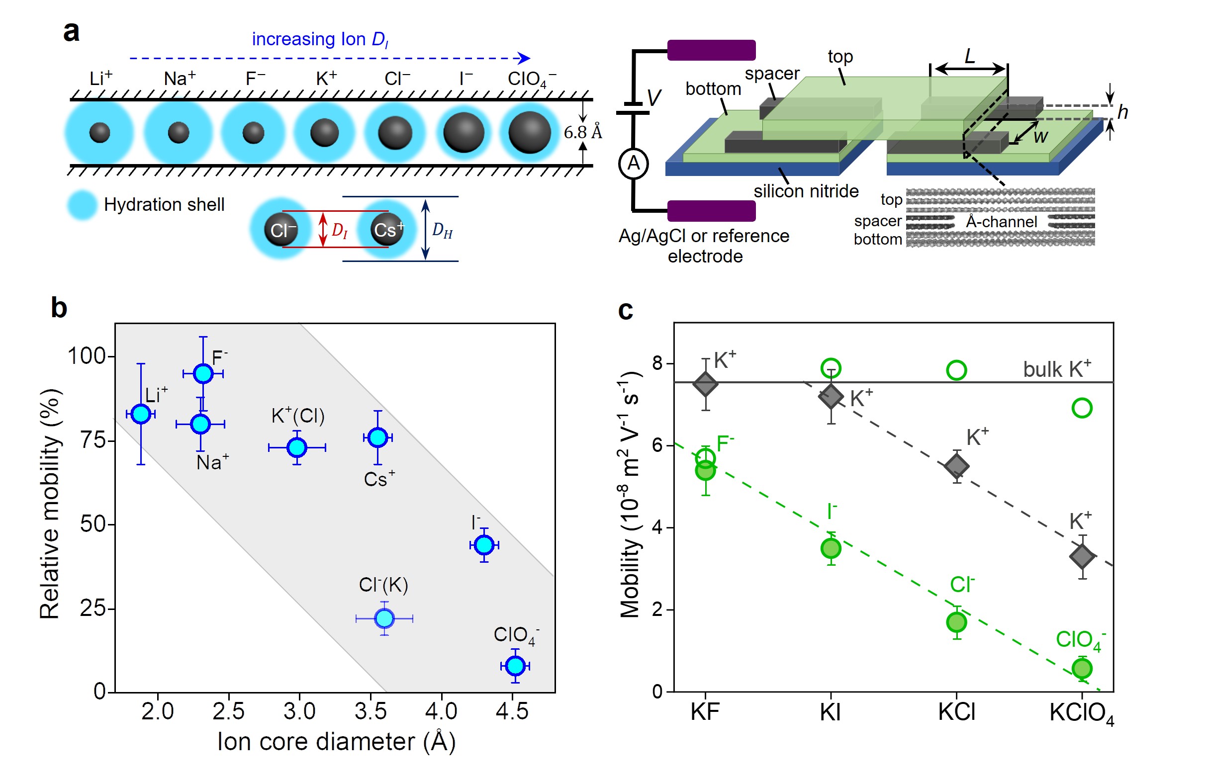 Fig. 1| Effect of ions’ core size on their mobility under Å-scale confinement. (a) Left side panel: cartoons of the studied ions which have similar hydrated diameters (DH) but different ionic diameters (DI), with their size shown relative to the 6.8 Å channel height. The Ionic core diameters (DI) is increasing from left to right. Right side panel: Schematics of Å-channels device and measurement setup. L, w, and h denote the length, width and height of the channel respectively. Inset, a cross-sectional view of an Å-channel, which is made from three layers, top, spacer and bottom as indicated. (b) Relative mobilities of Å-confined ions (with respect to the bulk values) as a function of ionic diameter (DI). K+ and Cl- mobilities are indicated here for KCl solution. (c) Mobilities of various anions (filled circles) with the same counterion K+ (filled diamonds) measured for different salt solutions under the Å-scale confinement. The bulk mobilities for the corresponding anions are shown with open circles, whereas the bulk K+ mobility is indicated by the solid line. Dashed lines in (c), guide to the eye. The horizontal error bars in (b) indicate the spread in the DI values from the literature5,6. Vertical error bars in b and c the average ± standard deviation (SD) in mobilities obtained from three devices. Shaded areas in b are guide to the eye.