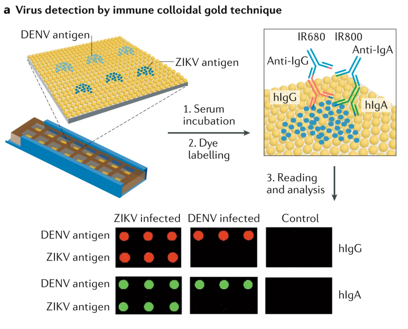 Fig. 3: Materials science in virus detection.