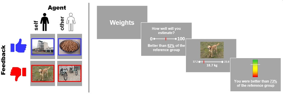 Learning of own performance (LOOP) task
