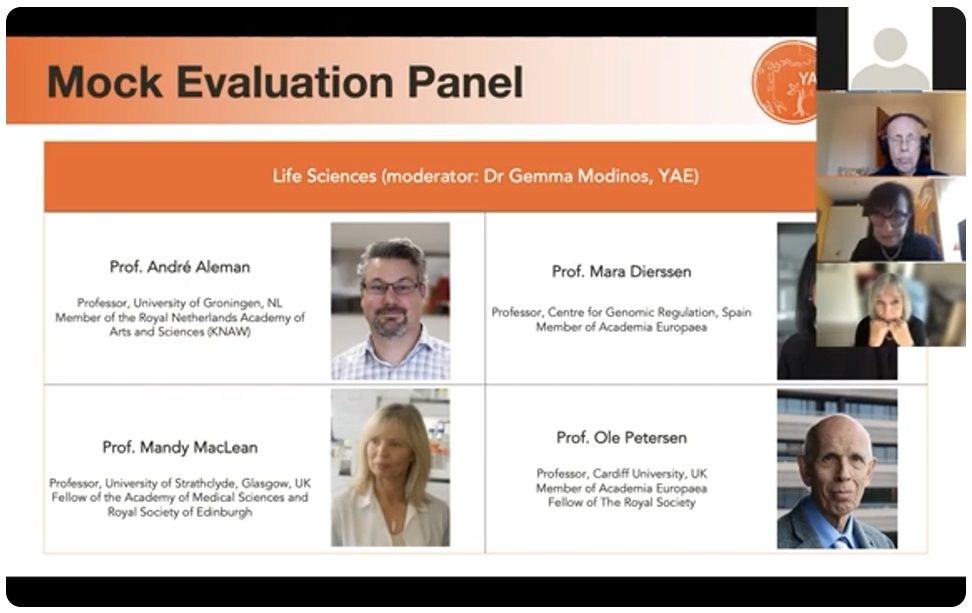 Screengrab of an online presentation showing a slide and video thumbnails of the presenters