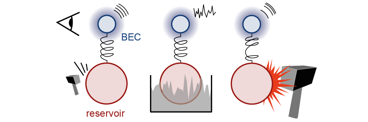 Response and fluctuations