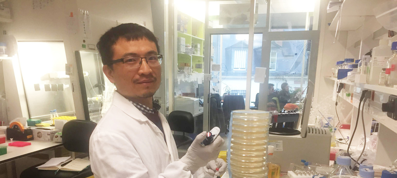 A CRISPR-Cas9 puzzle revealed by machine learning