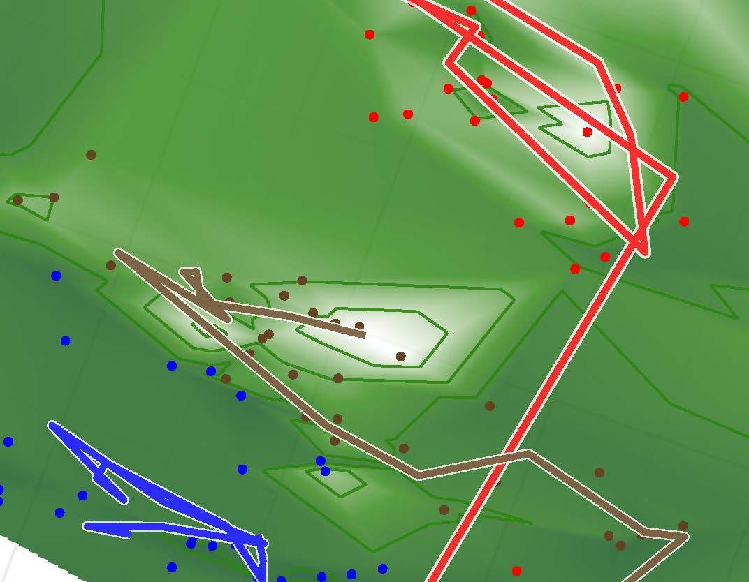 Is a better diet one of the keys to mitigating C. difficile infection?