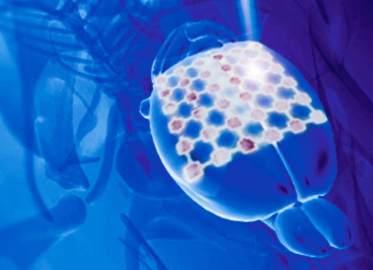 Tailoring silicon for optically controlled, non-genetic biological modulation