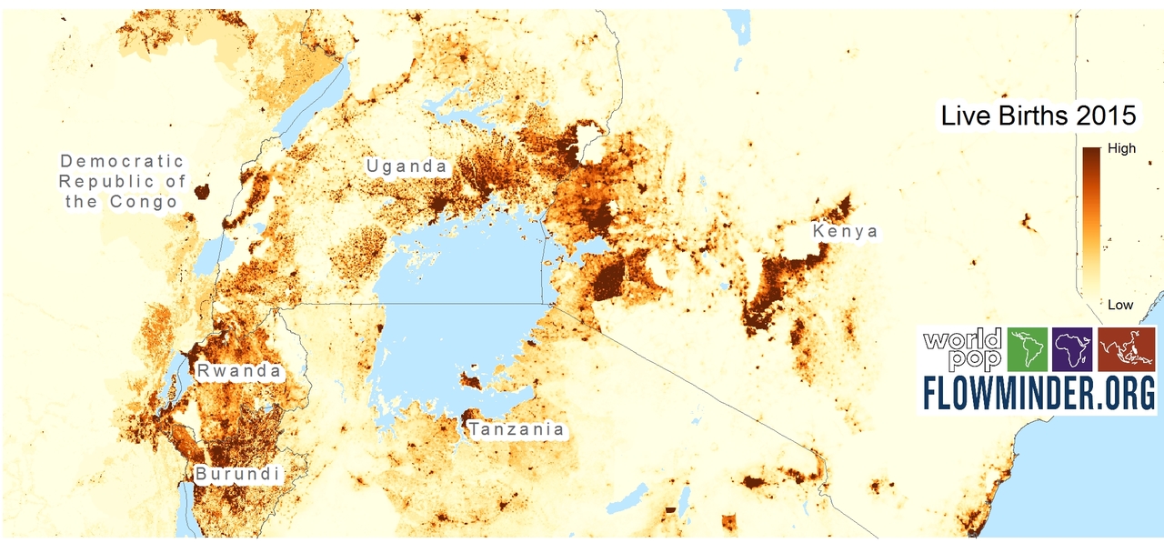 High resolution global mapping of women of childbearing age, pregnancies and births.