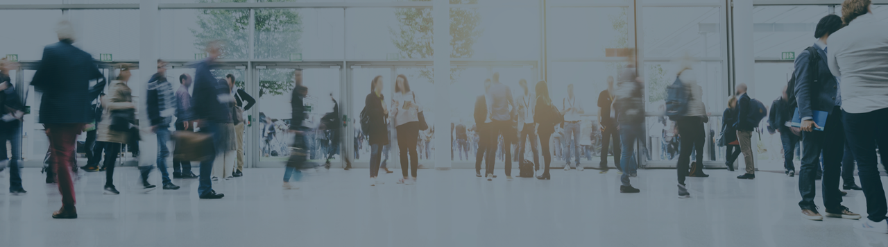 What is Next in Irish Immigration? Service Improvement Plan 2018-2020