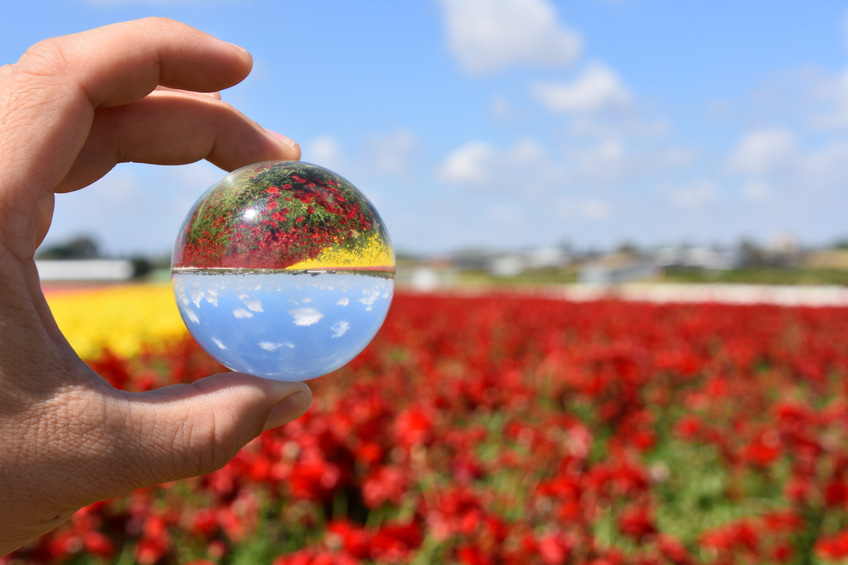 Netherlands: Foreign Investors Scheme Eligibility Criteria Relaxed 