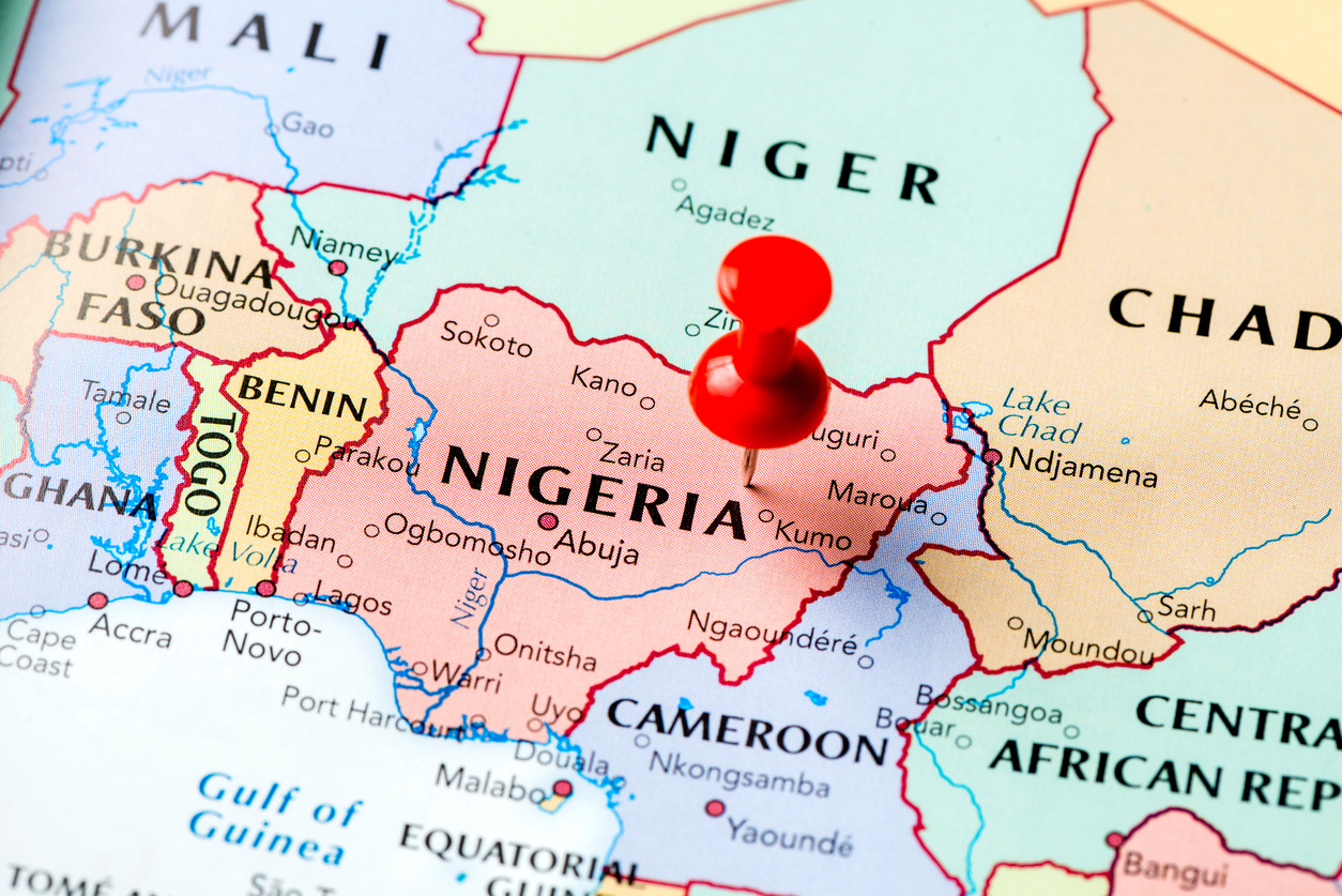 Nigeria: Delays Expected as Mandatory Online Service to Launch