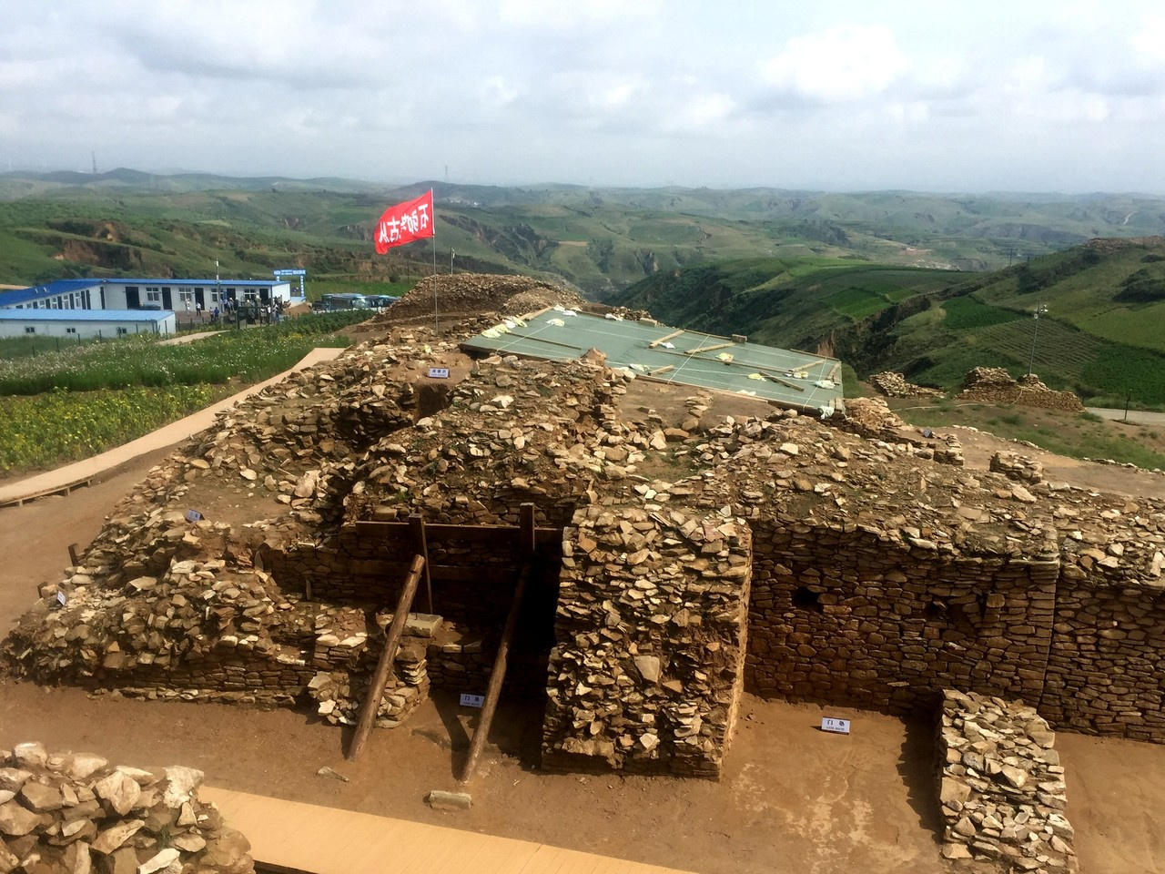 Where is the Chinese yellow cattle from?