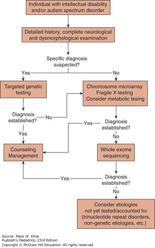 Cognition, Language, and Learning Disabilities Case